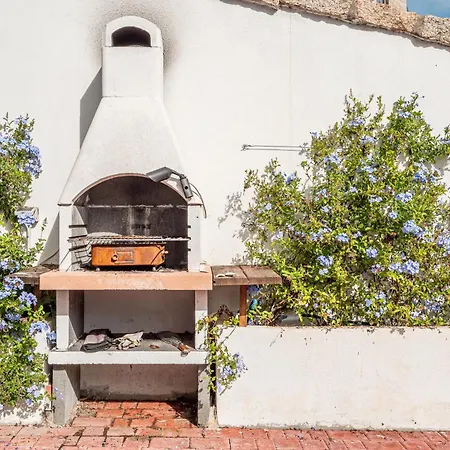 Poldina ブドーニ